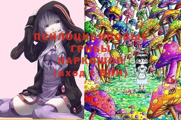 a pvp Абаза