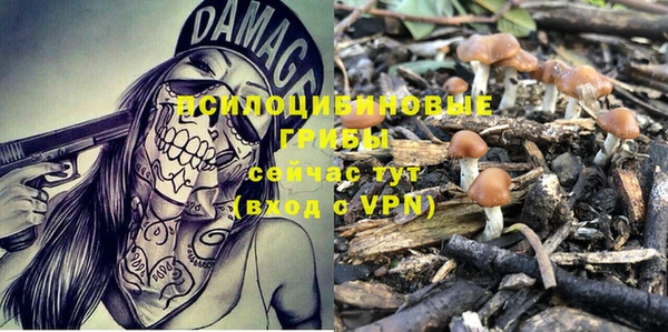 прущие крисы Абинск