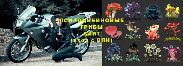 a pvp Абаза